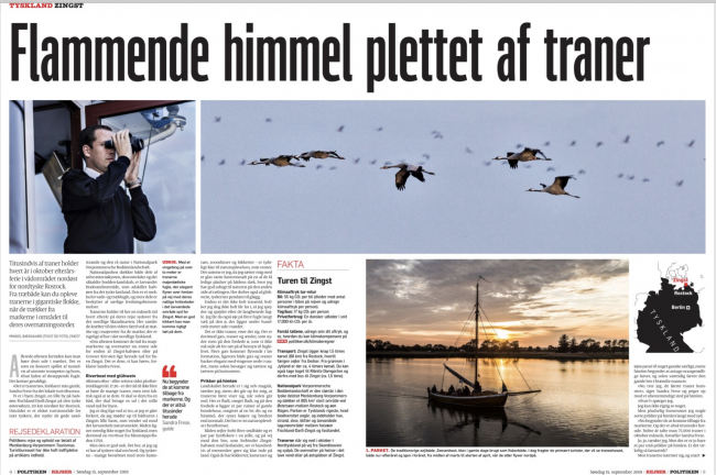 Opslag fra artiklen
