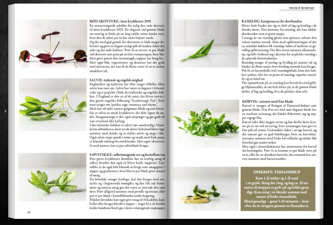 Der er guide til krydderurter og fotos fra min hånd i den nyeste udgave af food magasinet - et magasin til professionelle i den danske fødevarebranche. Her har jeg skrevet om forskellige urter og taget en række studiefotos, hvor et endda er havnet på forsiden.