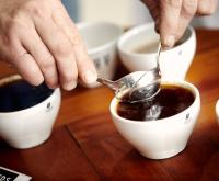 Cupping