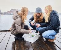 Havhøst