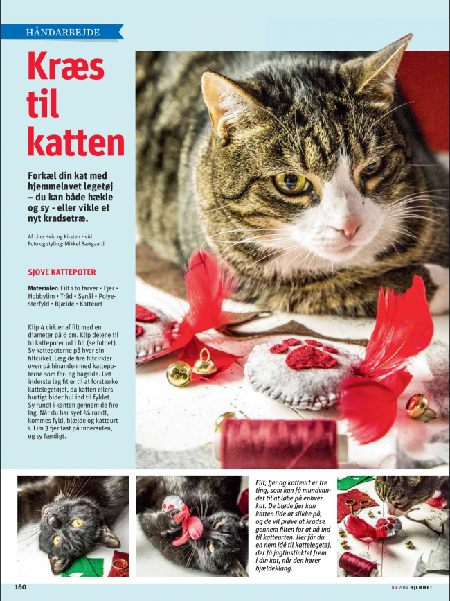 Første side af artiklen