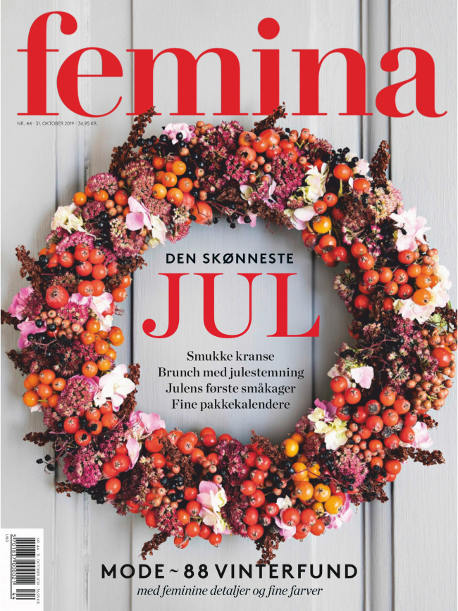 Forsiden af Feminal