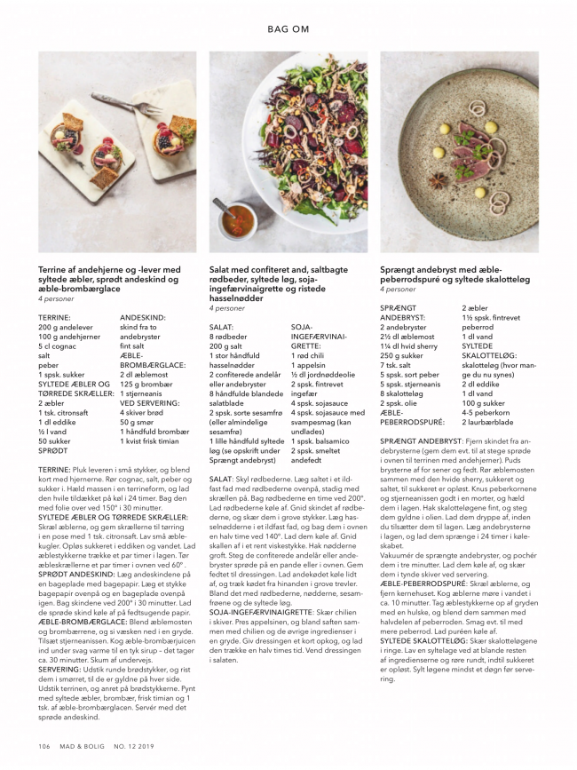 Side med opskrifter fra artiklen