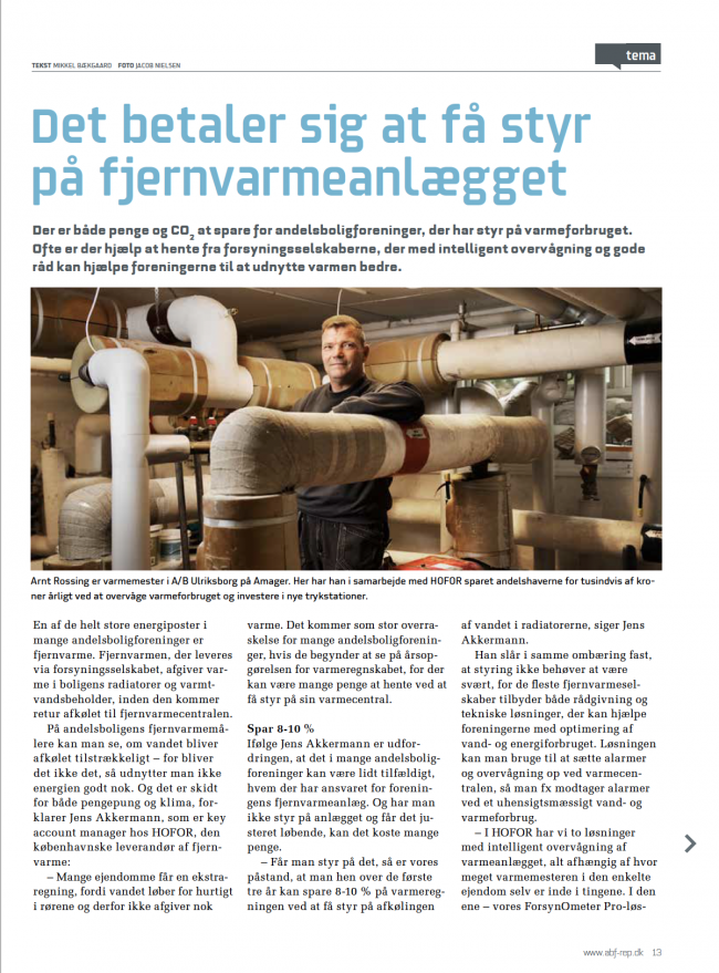 Artikel fra bladet