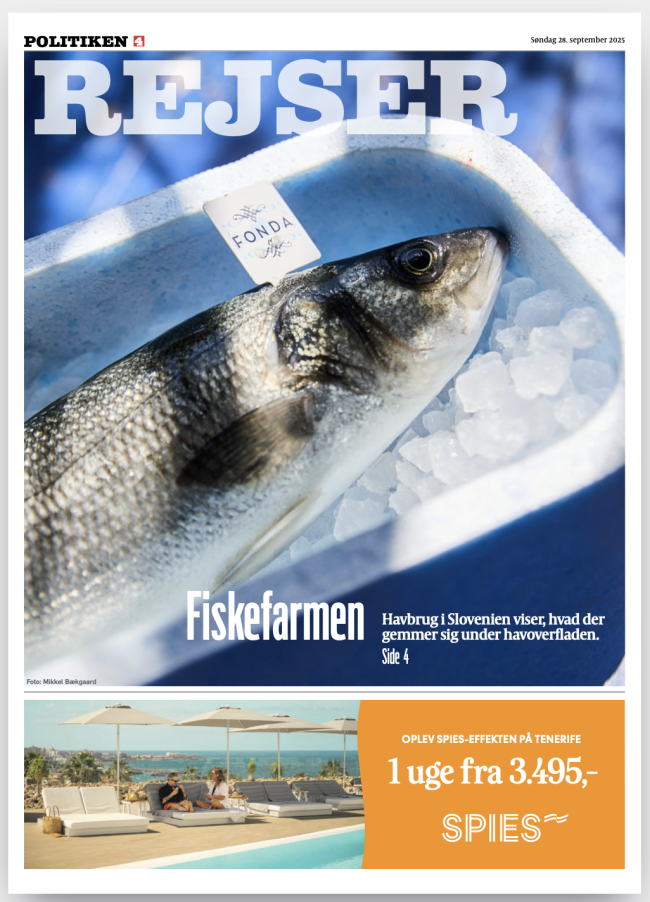 Forsiden af rejsesektionen