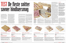 Artiklen i Politiken