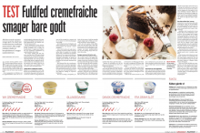 Artiklen i Politiken