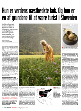 Første side af artiklen