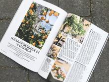 Forsiden af artiklen