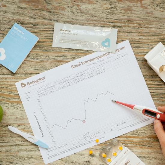Termometer og skema