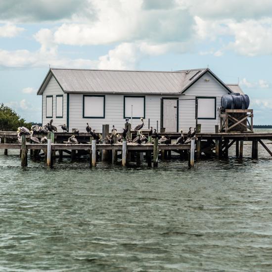 Fiskerhuse i vandet