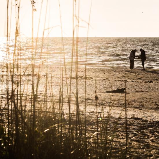Strand