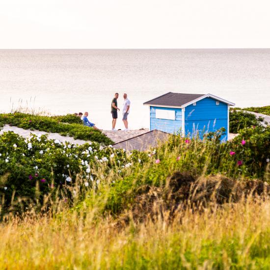 Stranden i Tisvildeleje